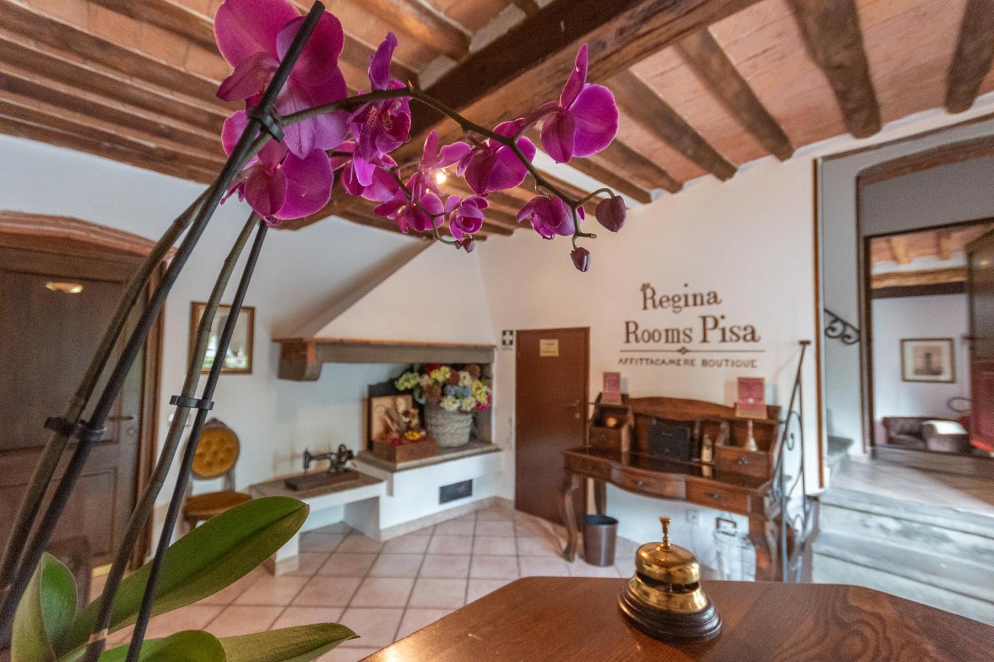 Regina Rooms Pisa Exteriör bild
